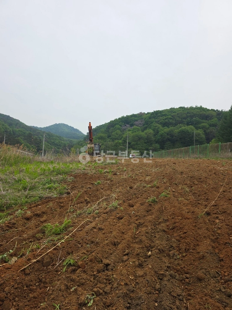 경기도 양평군 서종면 토지 사진 1