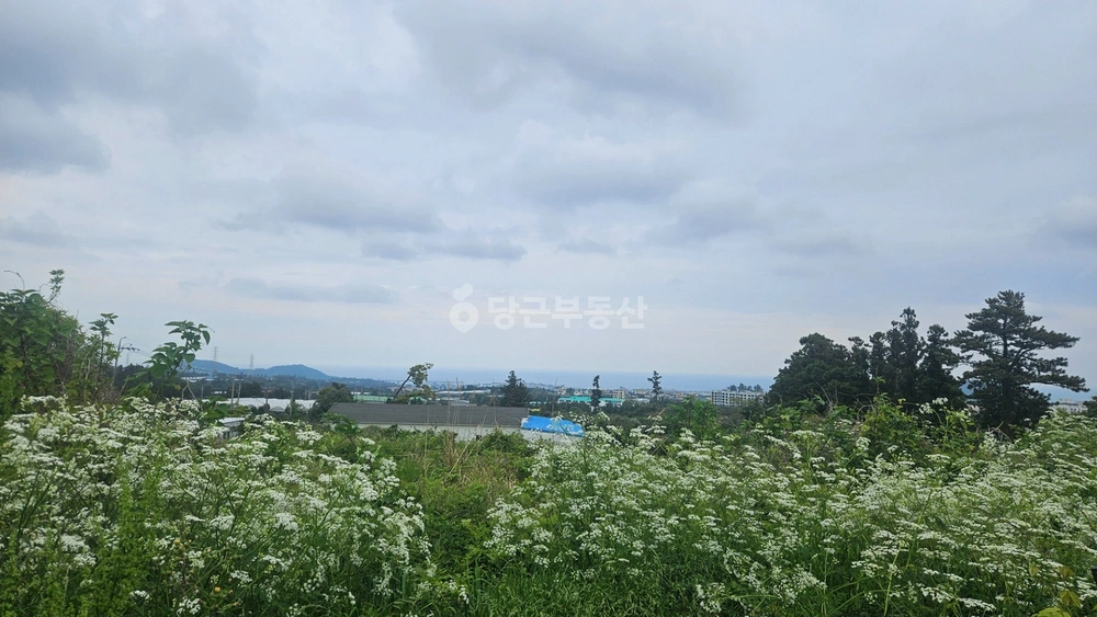 제주특별자치도 제주시 봉개동 토지 사진 1