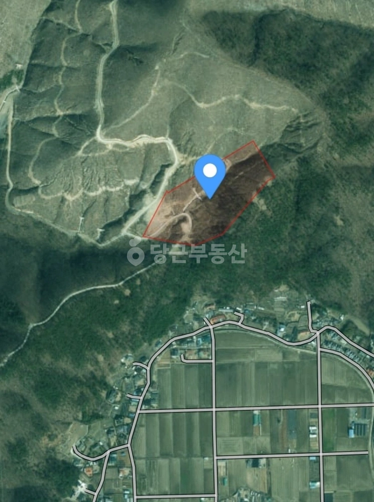 울산광역시 울주군 웅촌면 토지 사진 1