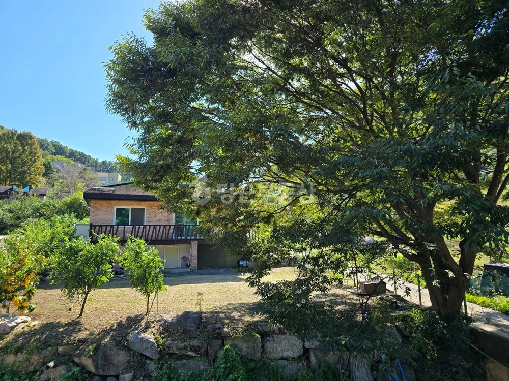 대전광역시 중구 금동 단독/전원주택 사진 1