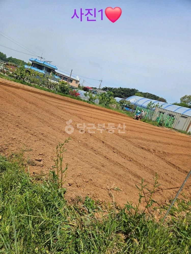 충청남도 홍성군 홍동면 토지 사진 1