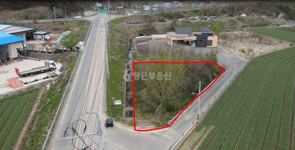 경상북도 고령군 우곡면 토지 사진 1