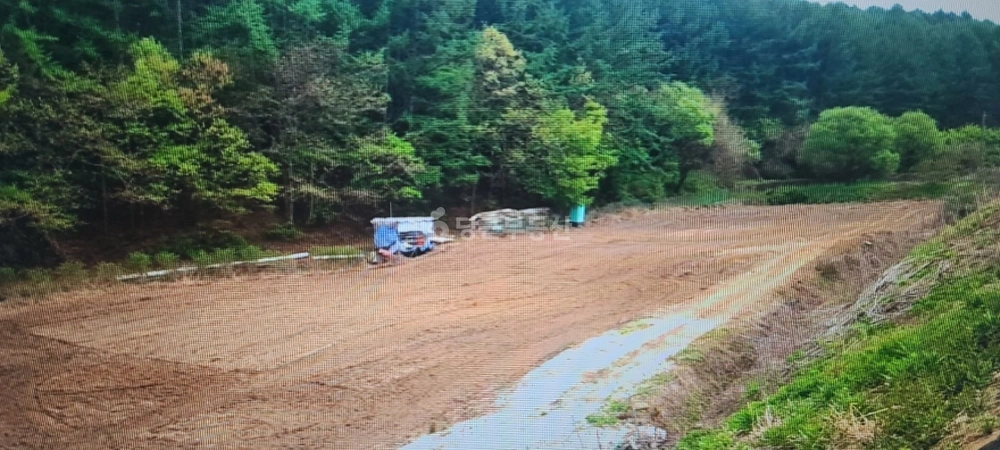 충청북도 보은군 내북면 토지 사진 1