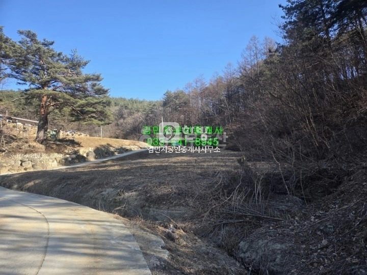 강원특별자치도 강릉시 성산면 토지 사진 1