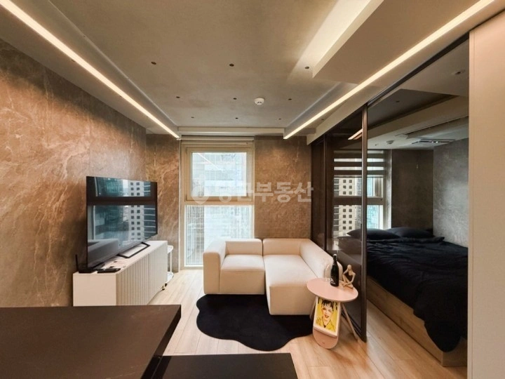 서울특별시 강남구 역삼동 오피스텔 사진 1
