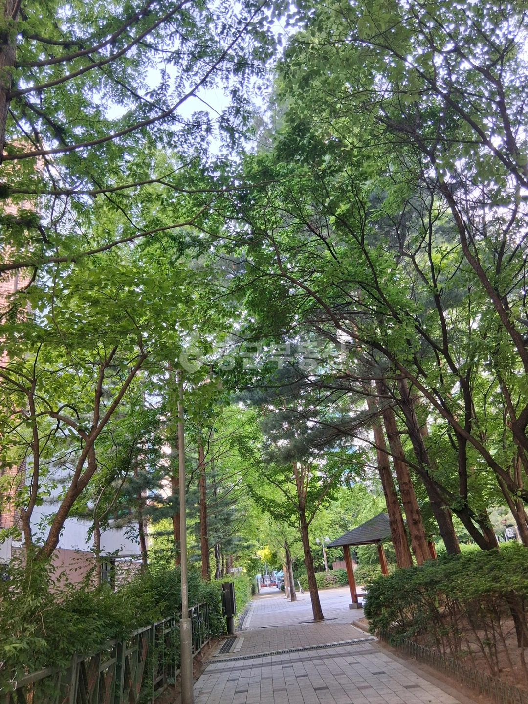 경기도 수원시 영통구 원천동 아파트 사진 1