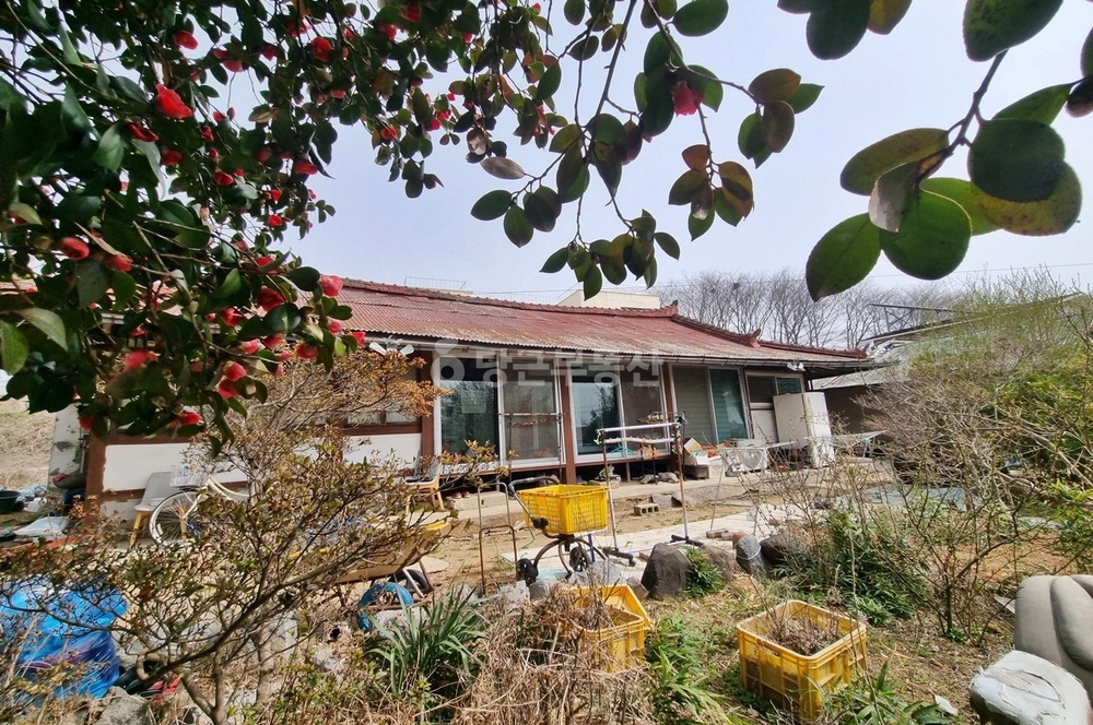 전북특별자치도 익산시 춘포면 단독/전원주택 사진 1