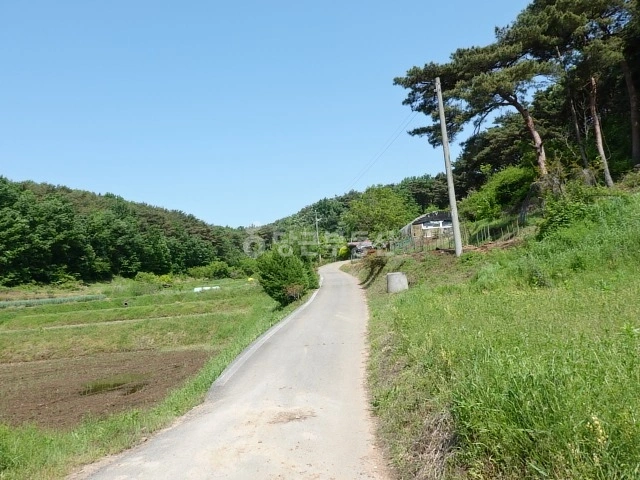 충청남도 홍성군 서부면 토지 사진 1