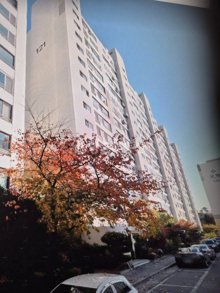 경상북도 포항시 북구 용흥동 아파트 사진 1