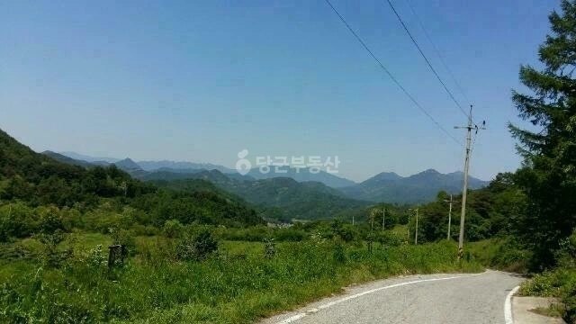 경상남도 거창군 남상면 토지 사진 1