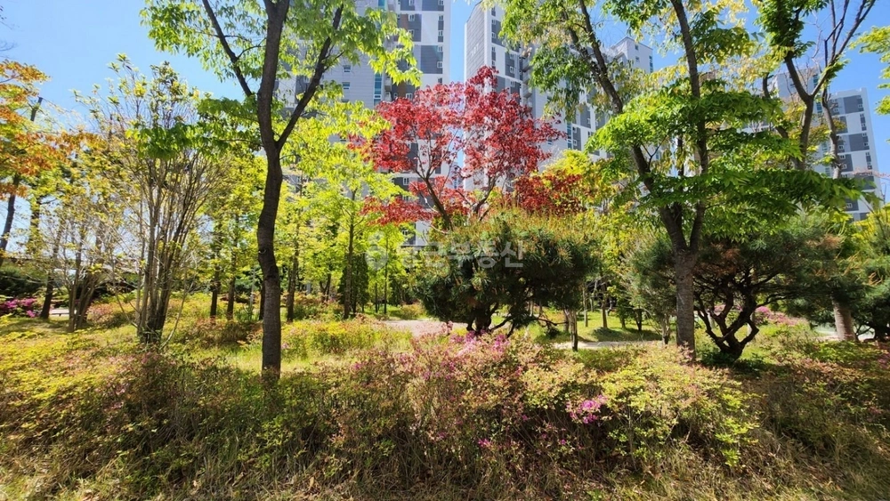 대구광역시 달성군 구지면 아파트 사진 1