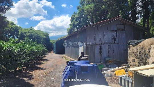 제주특별자치도 서귀포시 남원읍 토지 사진 1