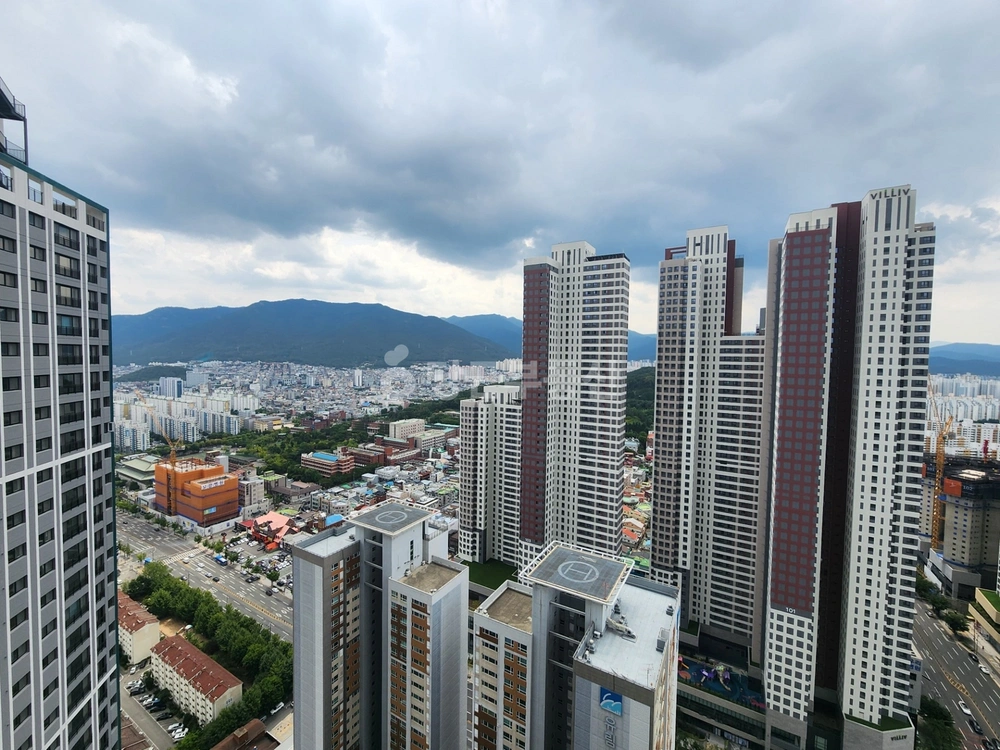 대구광역시 달서구 본리동 오피스텔 사진 1