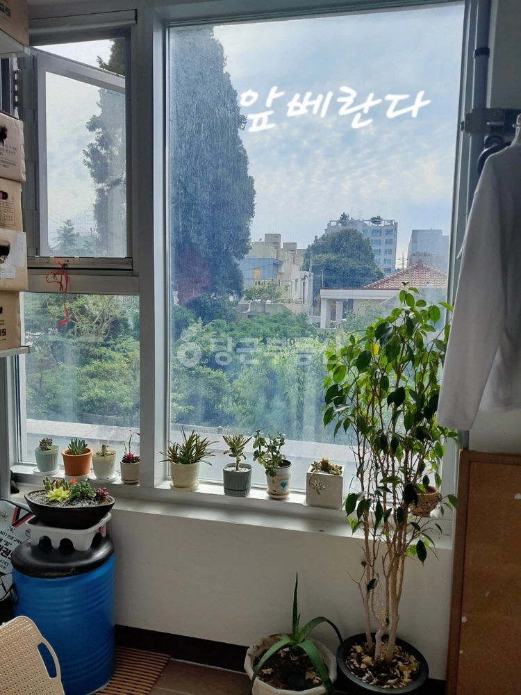 제주특별자치도 서귀포시 서홍동 아파트 사진 1