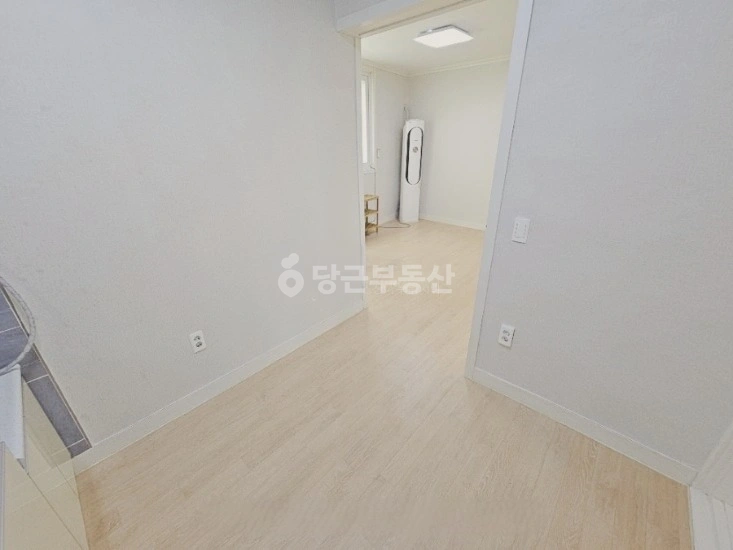대구광역시 남구 대명동 빌라(투룸 이상) 사진 1