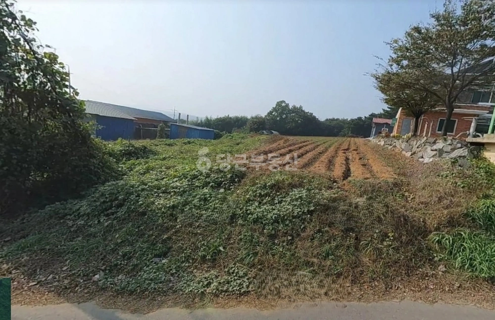 충청남도 당진시 송악읍 토지 사진 1