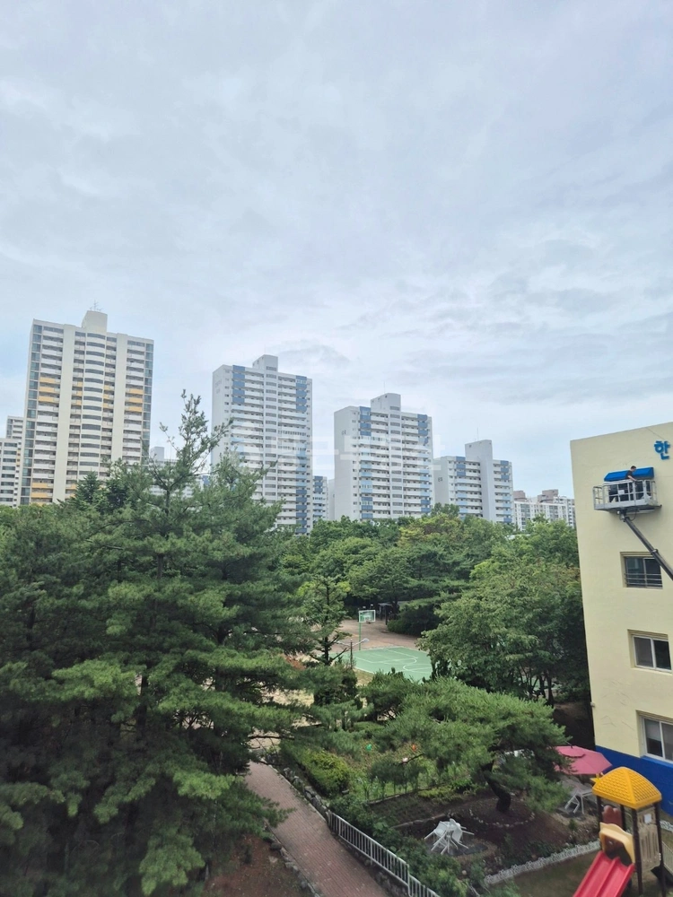 경기도 성남시 분당구 정자동 아파트 사진 1