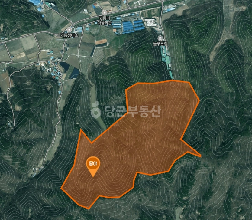 세종특별자치시 연서면 토지 사진 1