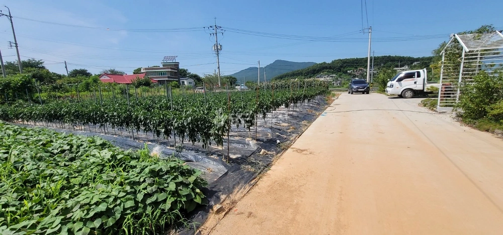 인천광역시 강화군 화도면 토지 사진 1