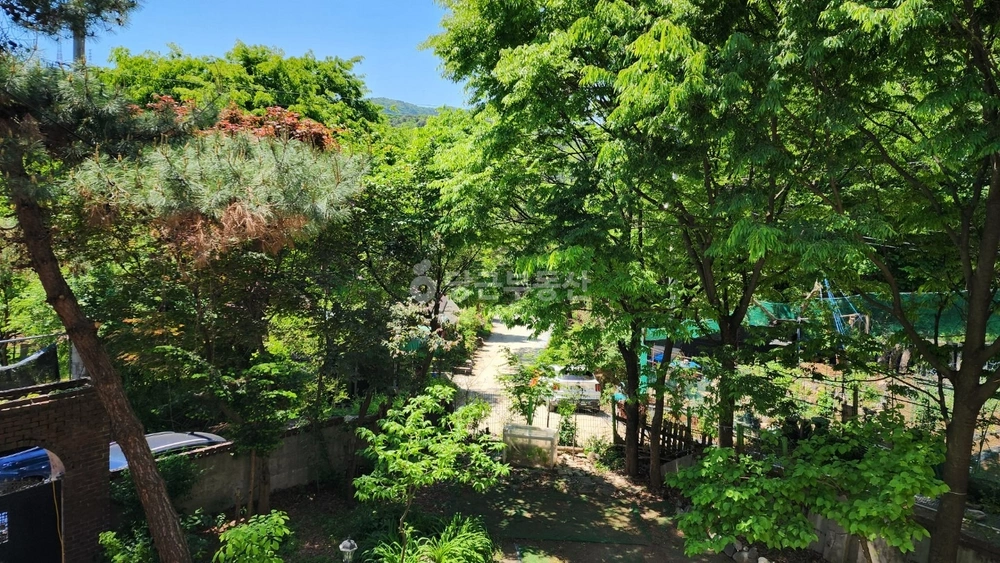 경기도 동두천시 탑동동 단독/전원주택 사진 1