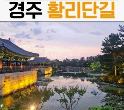 경상북도 경주시 사정동 단독/전원주택 사진 1