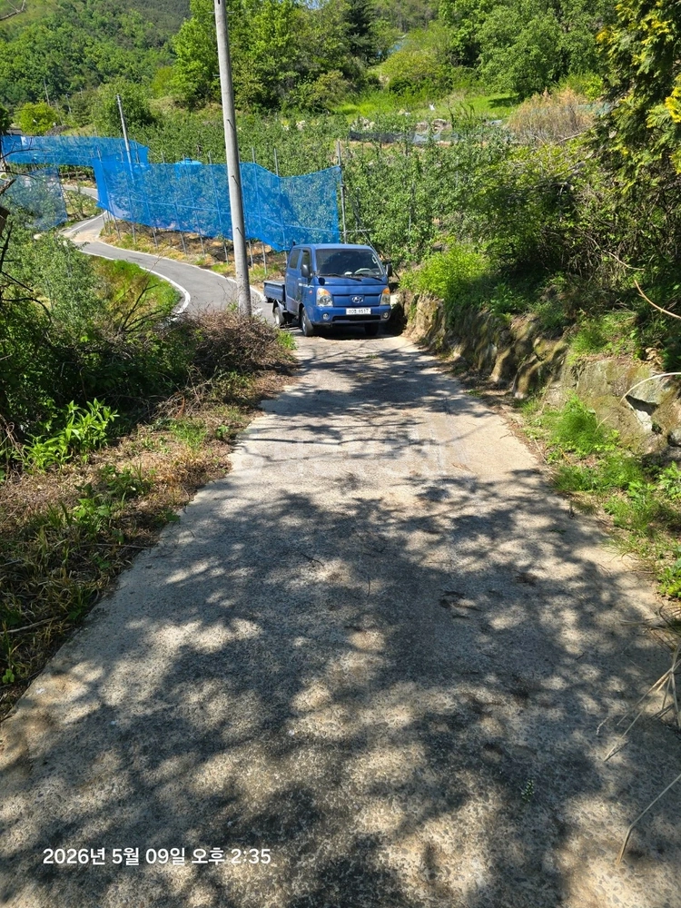 경상남도 거창군 주상면 토지 사진 1