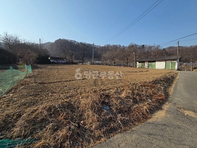 충청북도 보은군 마로면 토지 사진 1