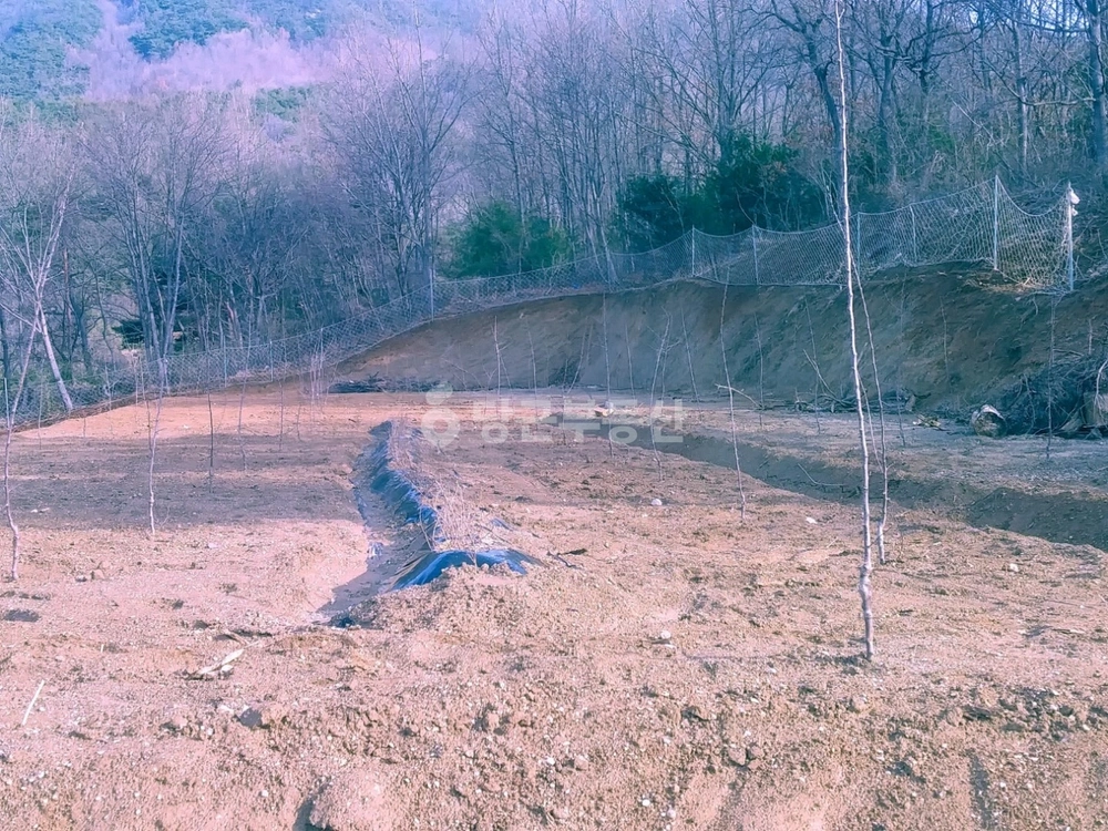 충청남도 보령시 주산면 토지 사진 1