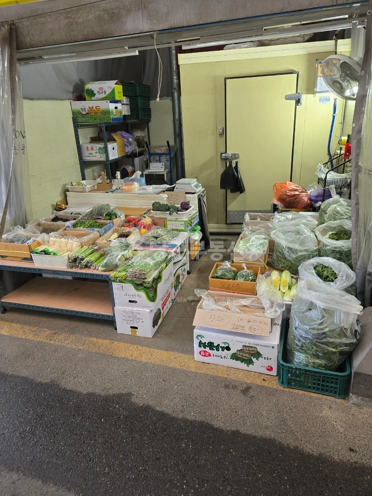 울산광역시 중구 학성동 토지 사진 1
