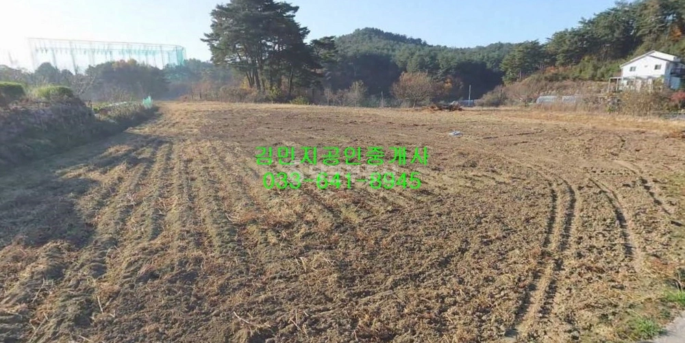 강원특별자치도 강릉시 대전동 토지 사진 1