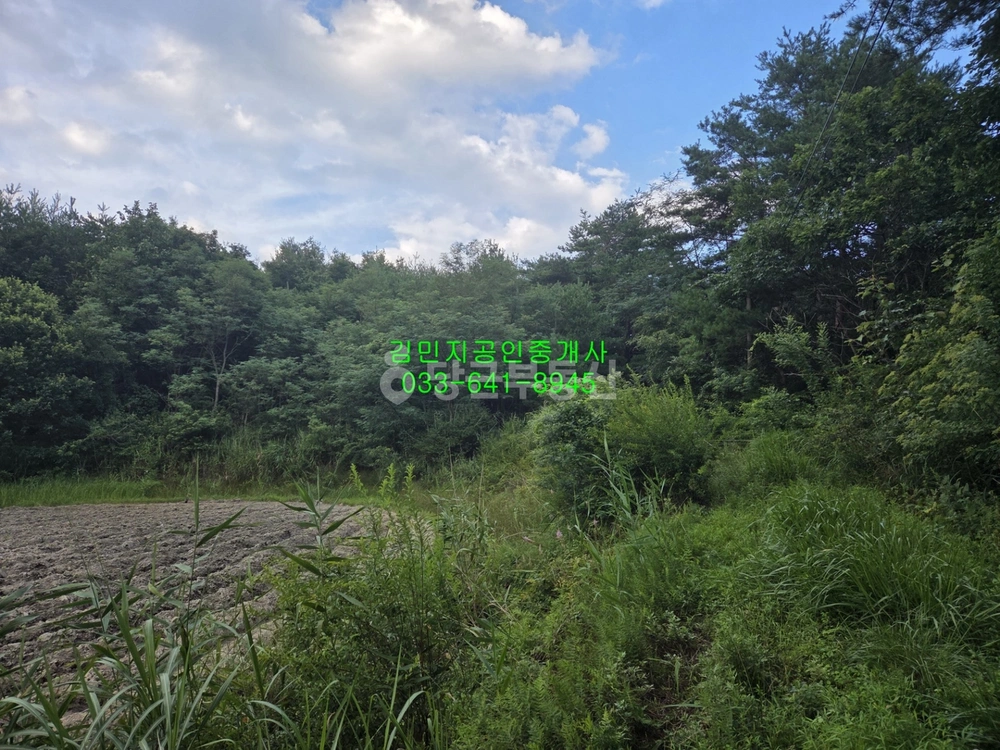 강원특별자치도 강릉시 사천면 토지 사진 1