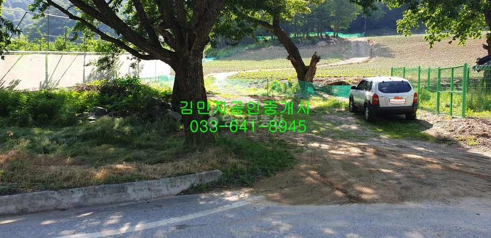 강원특별자치도 강릉시 왕산면 토지 사진 1