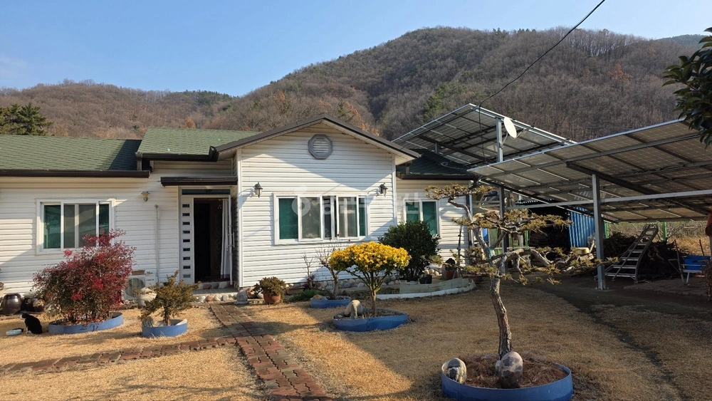 경상북도 영천시 북안면 단독/전원주택 사진 1