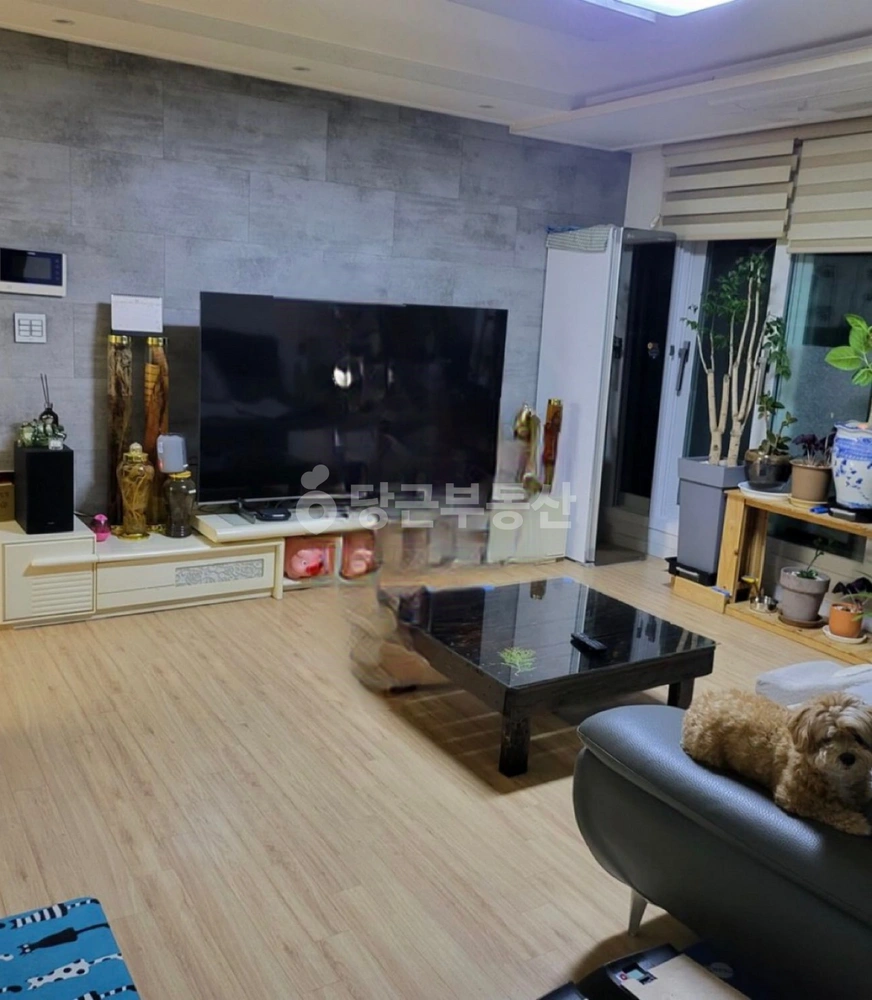 경기도 용인시 기흥구 상하동 빌라(투룸 이상) 사진 1