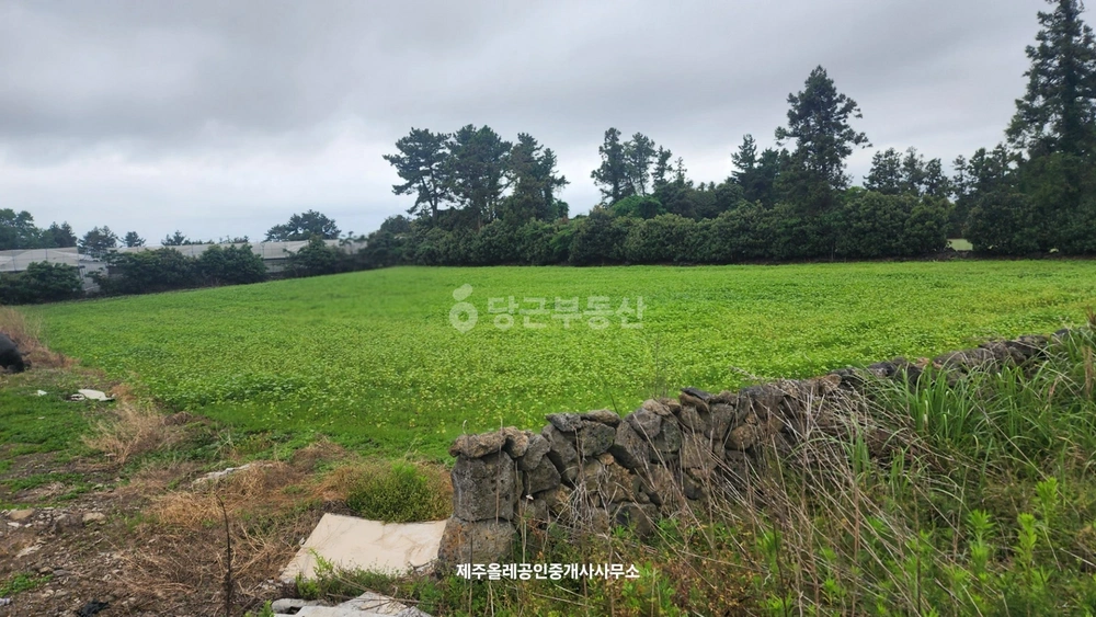 제주특별자치도 서귀포시 표선면 토지 사진 1