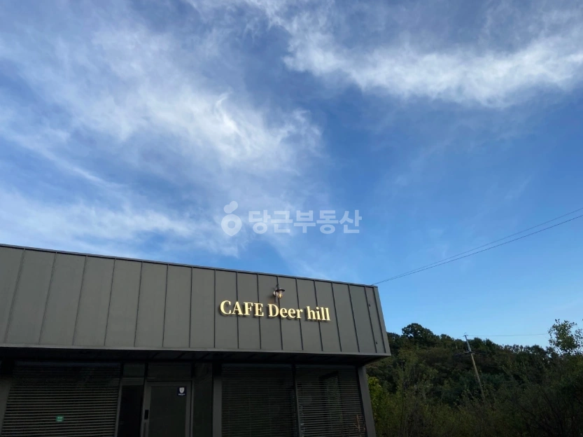 경기도 성남시 분당구 석운동 토지 사진 1
