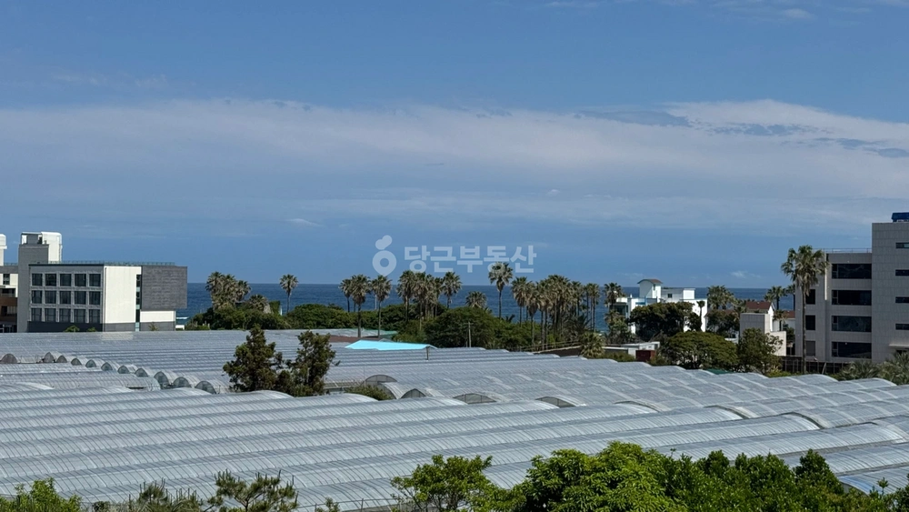 제주특별자치도 서귀포시 법환동 원룸 사진 1