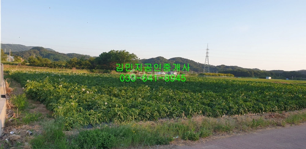 강원특별자치도 강릉시 회산동 토지 사진 1