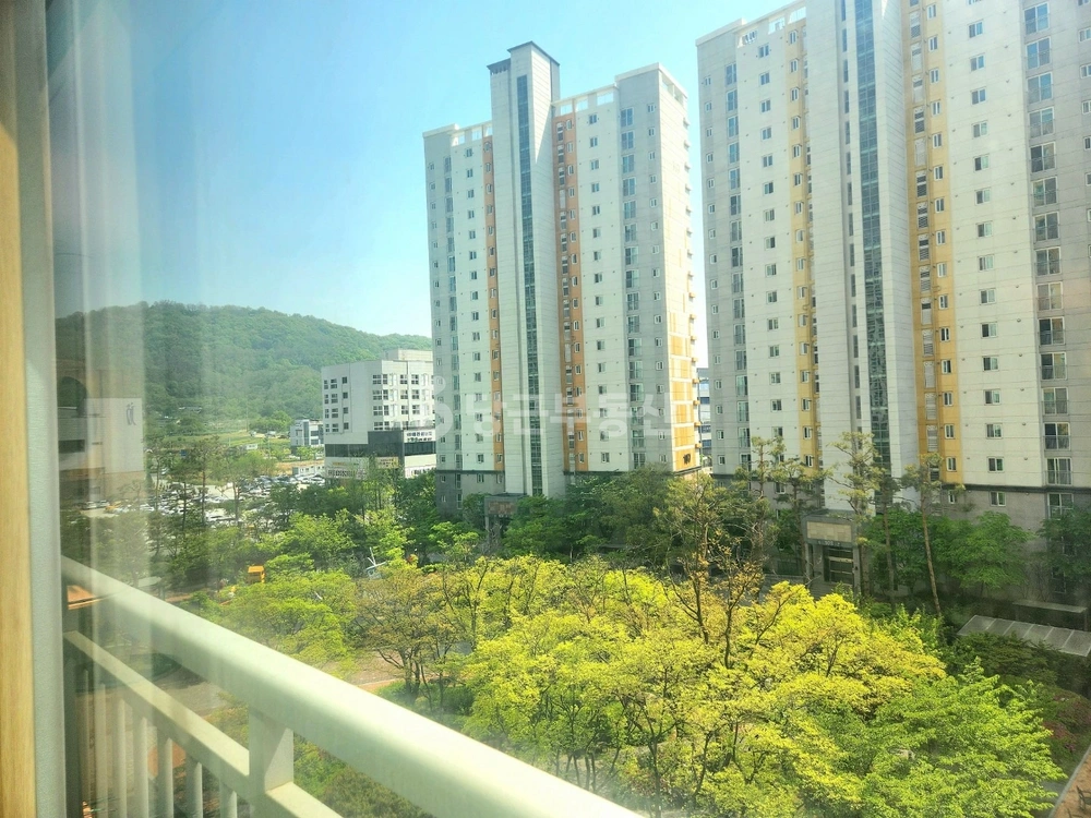 전북특별자치도 전주시 덕진구 만성동 아파트 사진 1
