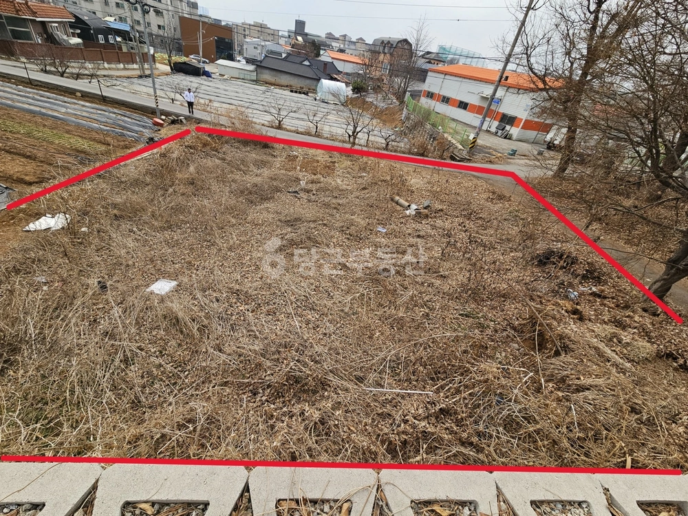 경기도 고양시 일산서구 덕이동 토지 사진 1