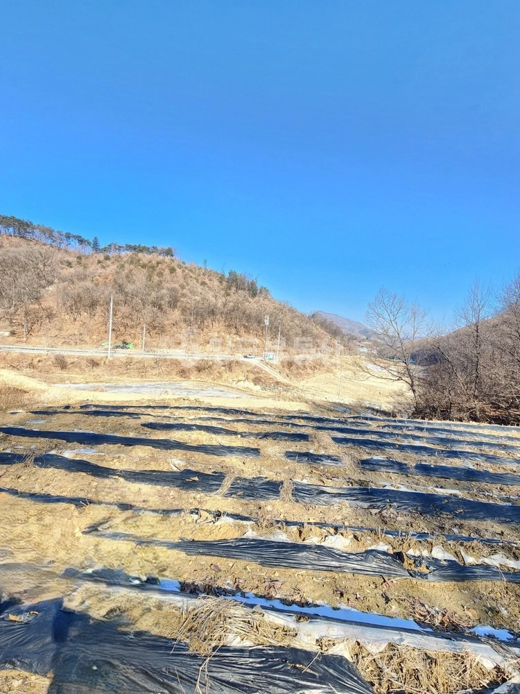 충청북도 괴산군 사리면 토지 사진 1