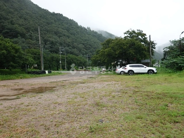 경상북도 영덕군 지품면 토지 사진 1
