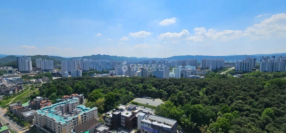 대전광역시 서구 도안동 아파트 사진 1