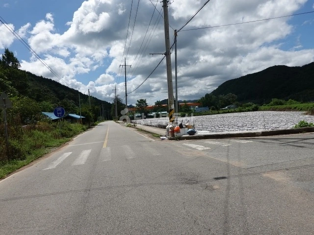 경상북도 영덕군 창수면 토지 사진 1