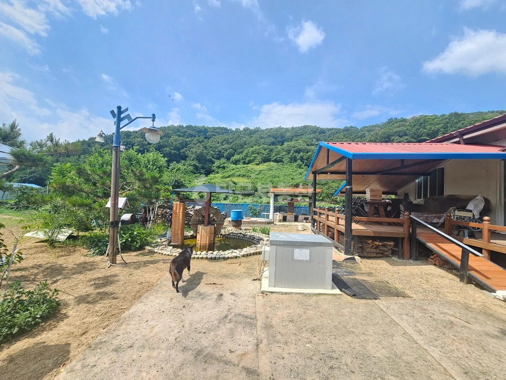 경상북도 고령군 성산면 단독/전원주택 사진 1