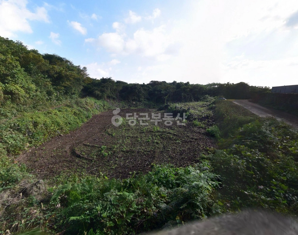 제주특별자치도 서귀포시 표선면 토지 사진 1