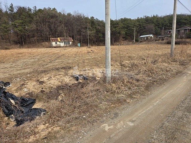 경기도 여주시 대신면 토지 사진 1