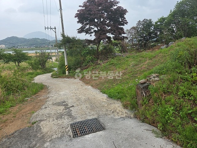 경기도 여주시 금사면 토지 사진 1