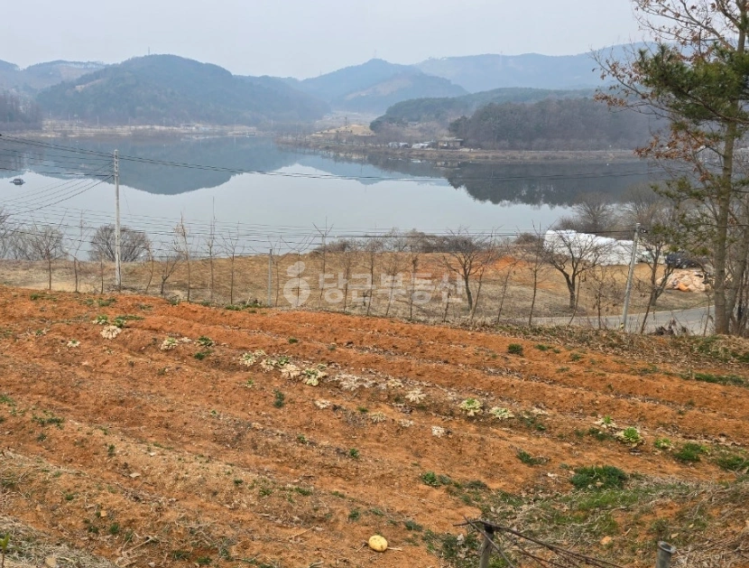 충청남도 홍성군 장곡면 토지 사진 1