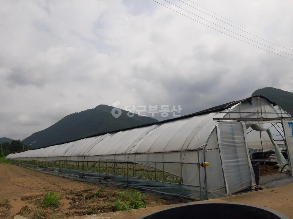 경기도 남양주시 조안면 토지 사진 1